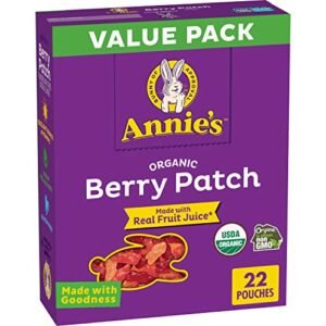 Annie's Organic Berry Patch Bunny Fruit Flavored Snacks, Gluten Free, Value Pack, 22 Pouches, 15.4 oz