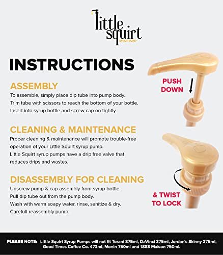 Peach Syrup for Ice Tea & Drinks 25.4 Ounces Flavoring for Drinks with Little Squirt Syrup Pump - Image 5